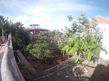 Villa Morgana Cape Verde Resort Calheta エクステリア 写真